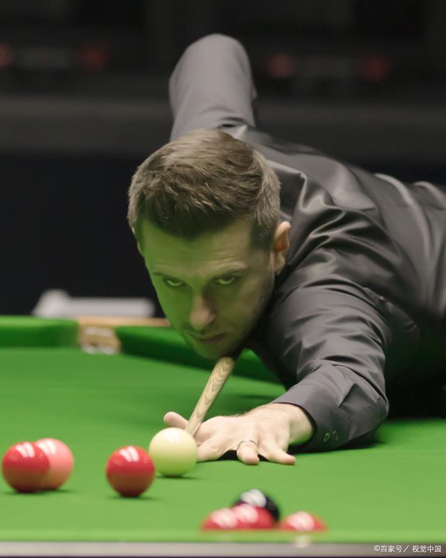 体育领域合 体育领域合